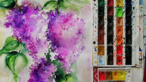 Сирень акварелью для начинающих