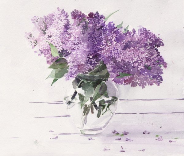 Акварель цветы Анна Катаниан