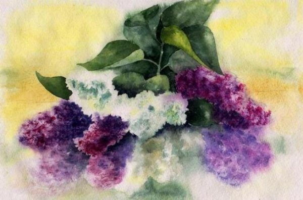Сирень акварелью по сырому