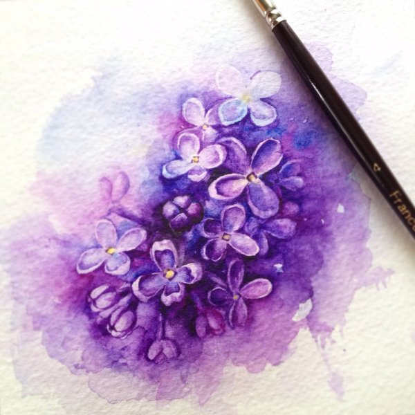 Сирень акварельными карандашами