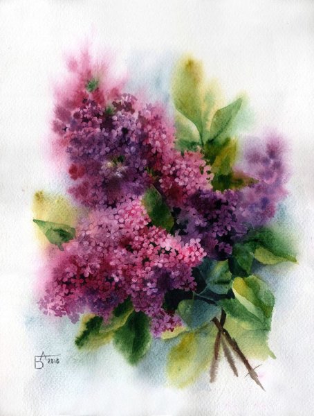 Цветы акварель Анастасии Бесединой