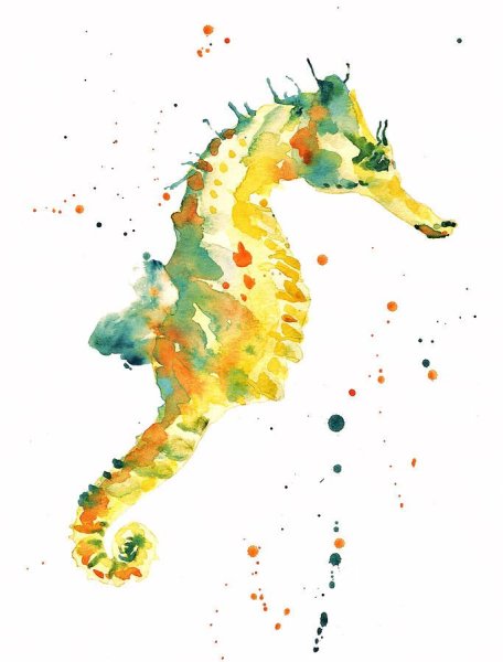 Морской конек акварель