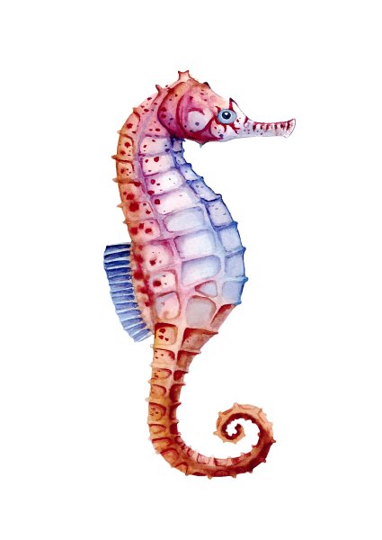 Морской конек арт