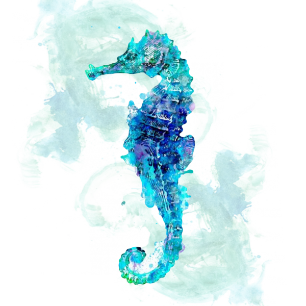Морской конек акварель тату