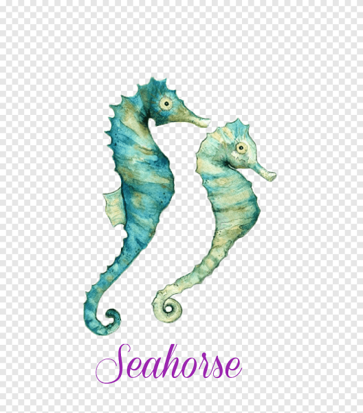 Картины акварелью морской конек