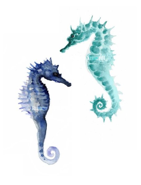 Морской конек сказочный
