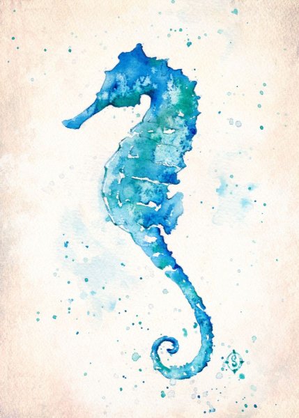 Морской конек акварель