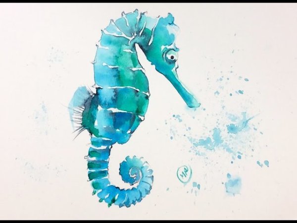 Рисование морской конек акварель по-мокрому 6 лет
