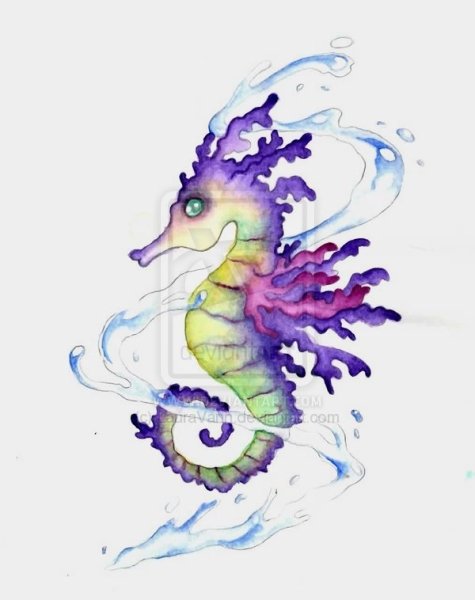 Морской конек акварель