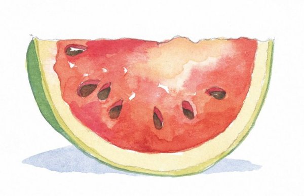 Долька дыни акварель
