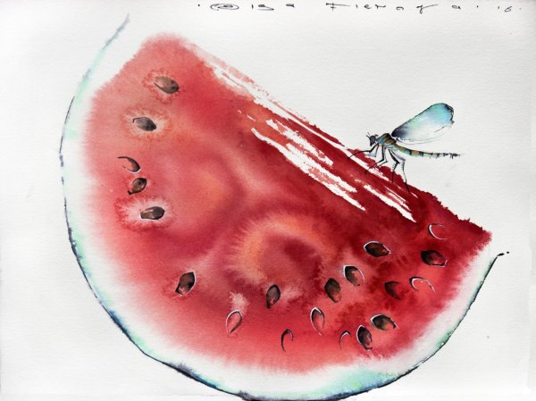 Акварельные этюды с арбузом