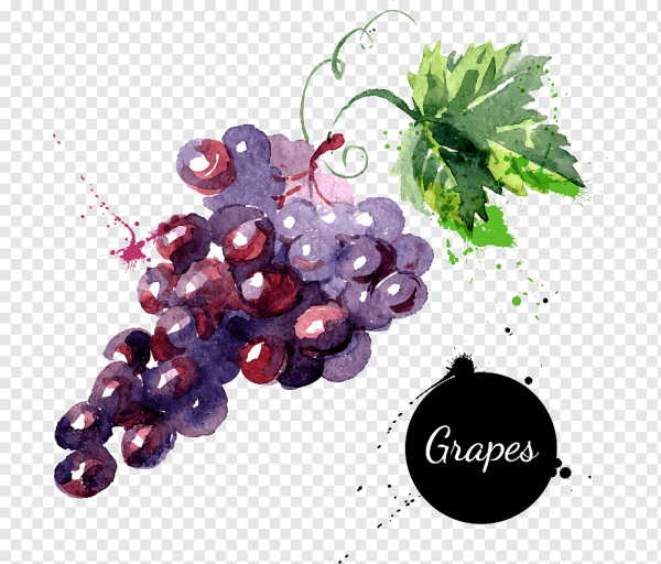 Виноград акварелью