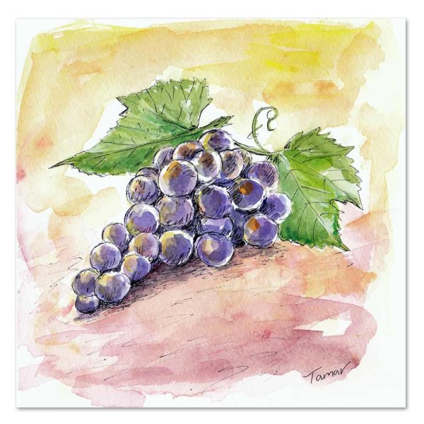 Натюрморт с виноградом акварель