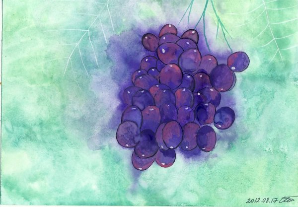 Анастасия Беседина акварель гроздь винограда
