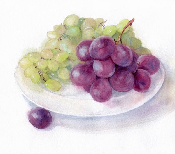 Андрияки виноград акварель