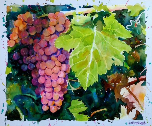 Виноградная гроздь акварелью