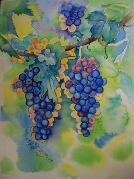 Гроздь винограда скетч