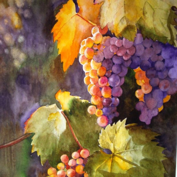 Сергей Андрияка виноград акварелью
