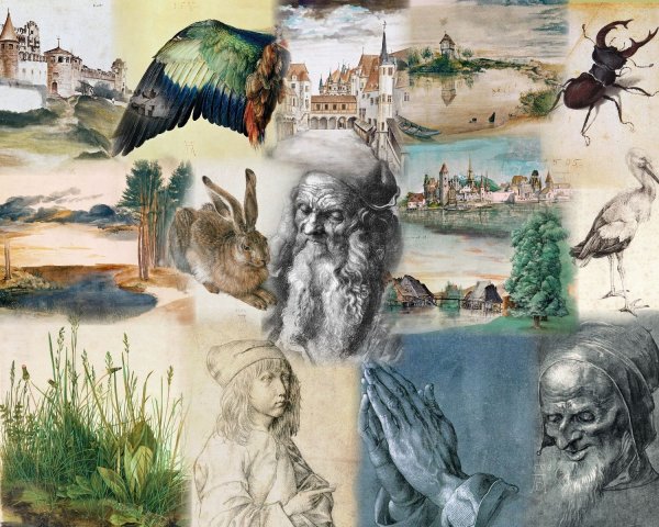 Акварелист Альбрехт Дюрер