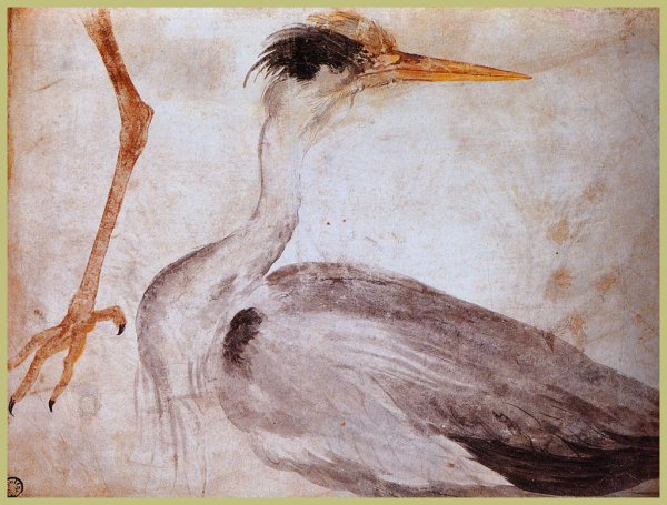 Альбрехт Дюрер пейзажи 1494 - 1495