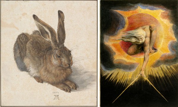 Альбрехт Дюрер кролик