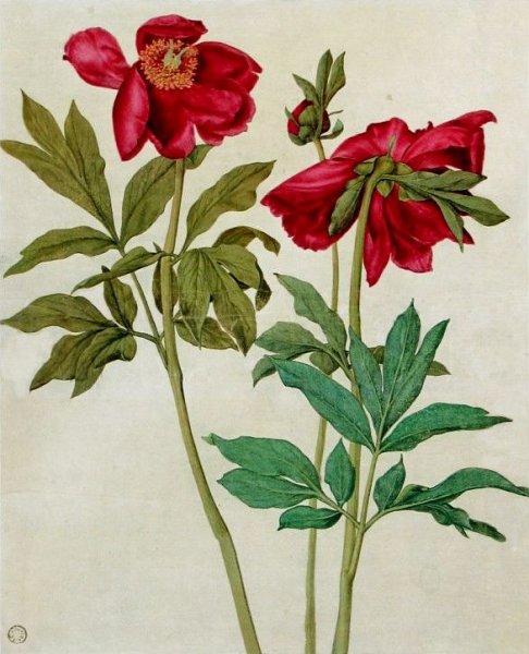 Дюрер смерть Орфея