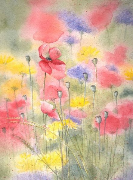 Луиза Вилсон акварели