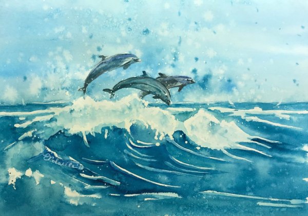 Дельфины акварелью