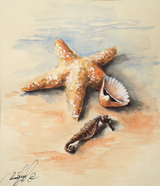 Черепаха акварелью