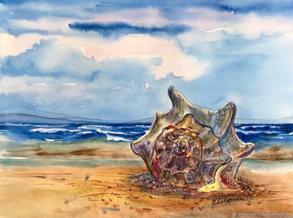 Ракушки акварелью