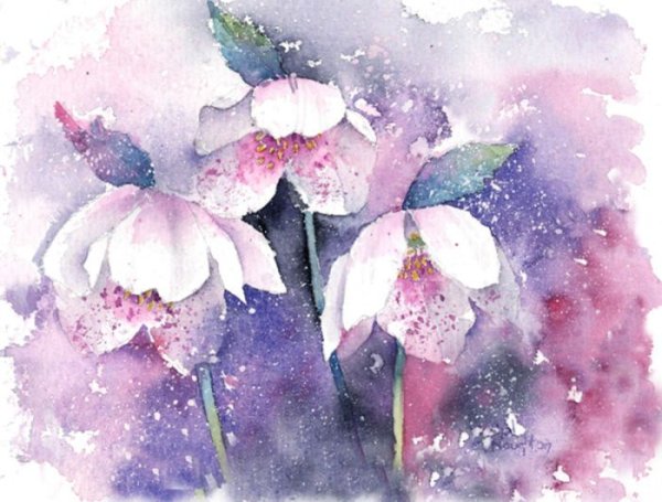 Rachel MCNAUGHTON акварель художник