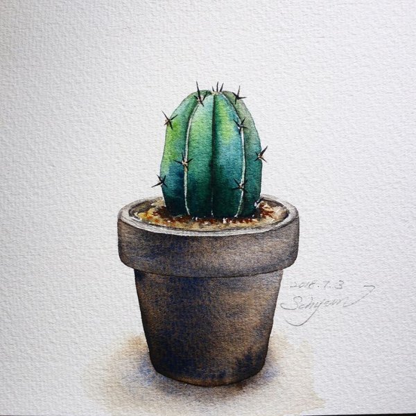 Акварельные кактусы в горшках