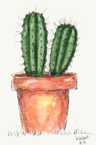 Кактус в горшке акварелью