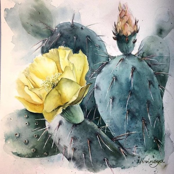 Опунция акварель