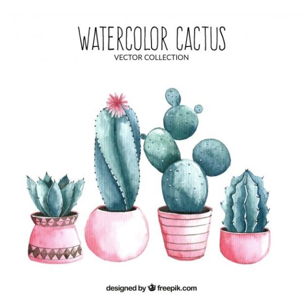 Кактус в горшке акварелью