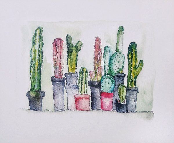 Кактус рисунок акварелью