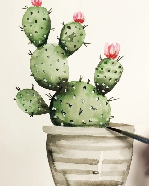 Кактус скетч