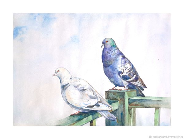Голубки акварель