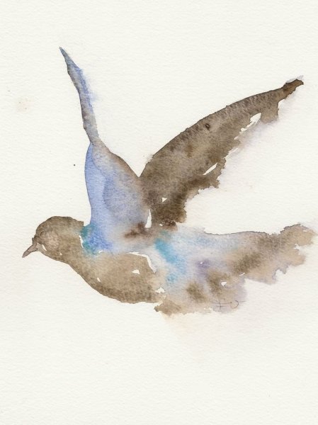Птицы в небе акварель