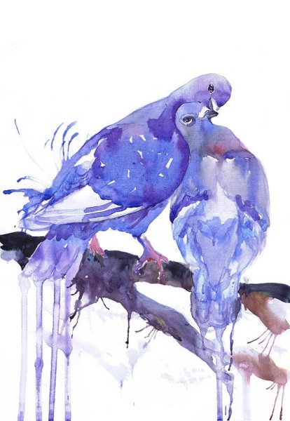 Птица акварель голубь