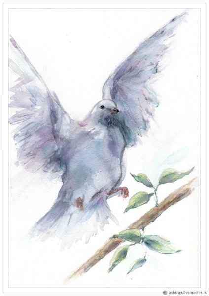 Голуби живопись акварель