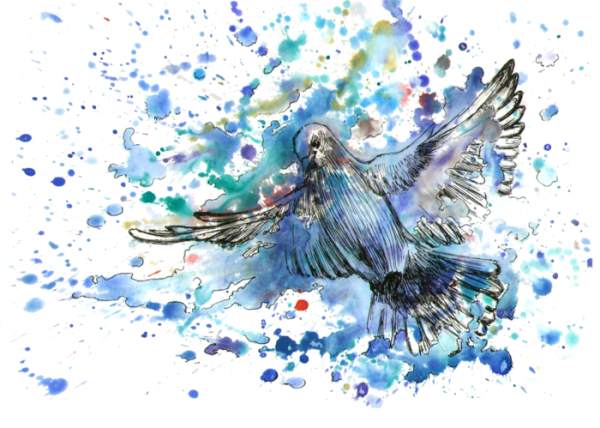 Голубь эскиз акварель