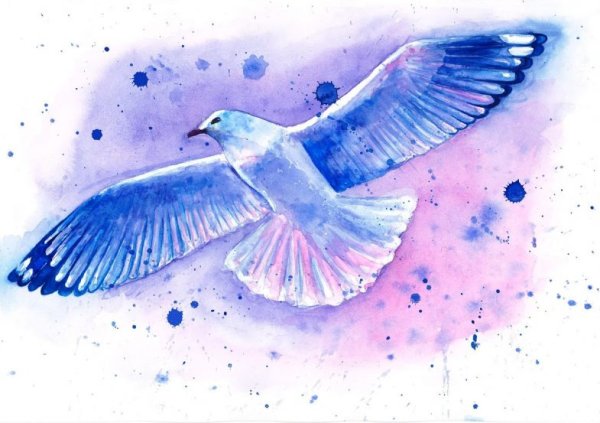 Галактическая птица акварель