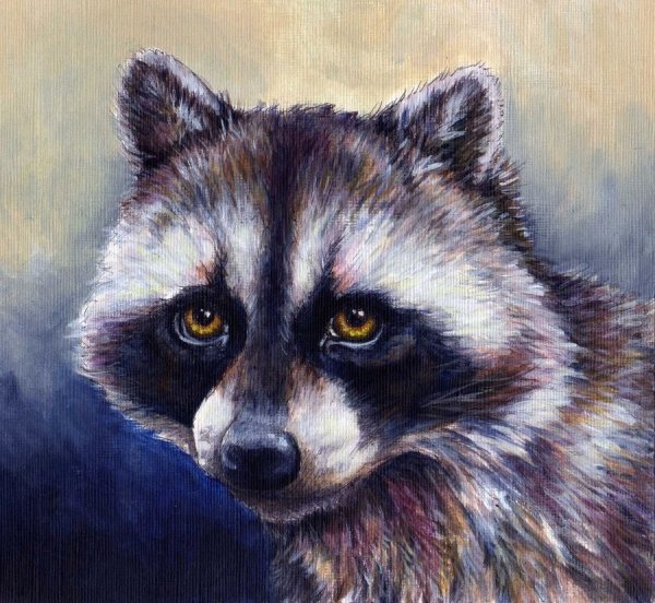 Енот арт акварель