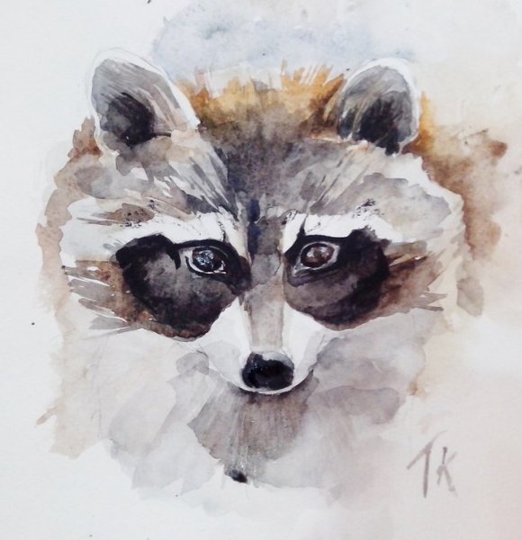 Енот акварелью