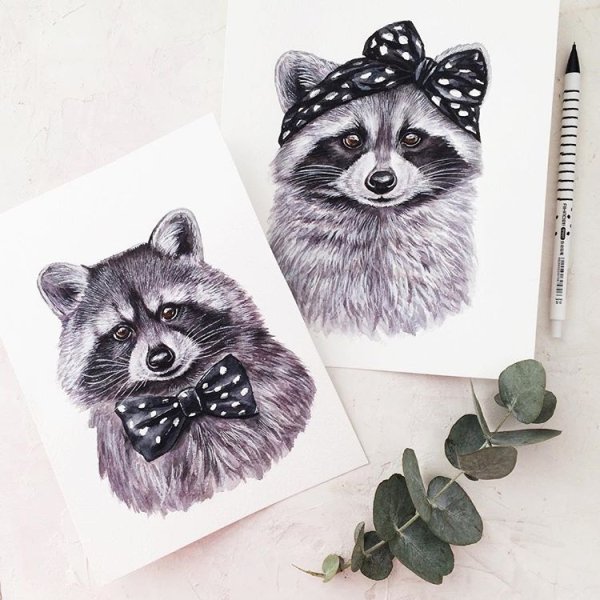 Енот гелевой ручкой