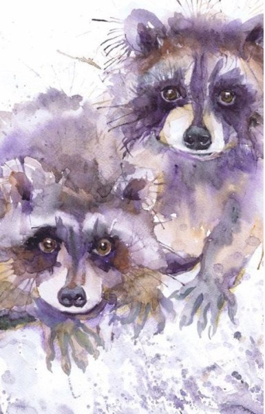 Енот акварелью