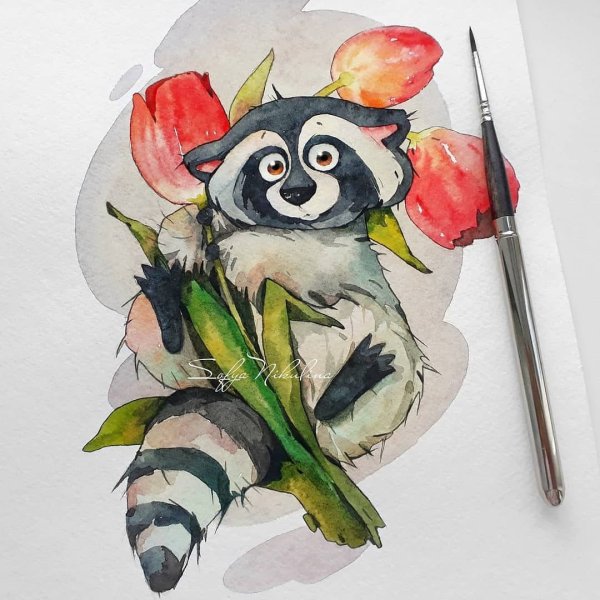 Акварельные иллюстрации енот