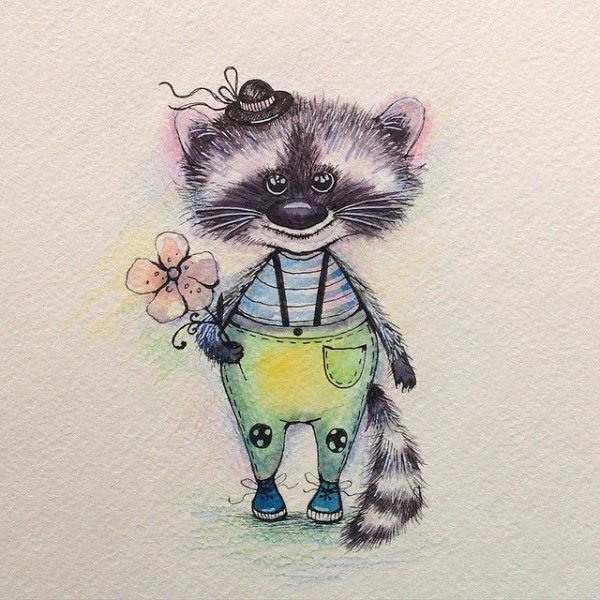 Енотик акварель милый