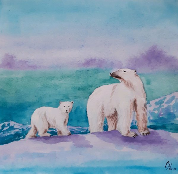 Белый медведь акварель